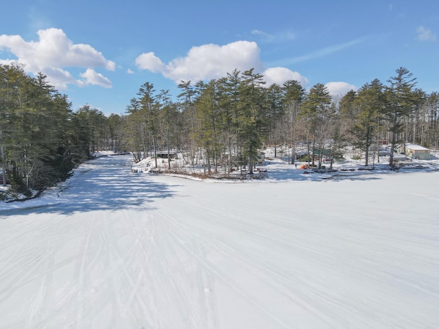 view of snowy yard