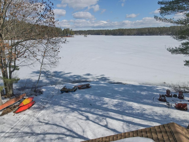 water view featuring a view of trees