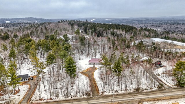 drone / aerial view featuring a mountain view and a wooded view