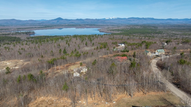 birds eye view of property featuring a water and mountain view