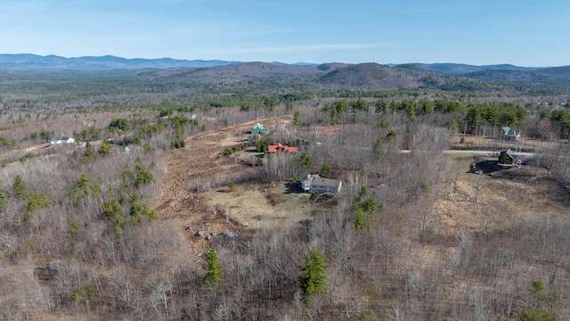 birds eye view of property with a rural view and a mountain view