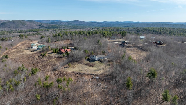 birds eye view of property with a mountain view and a rural view
