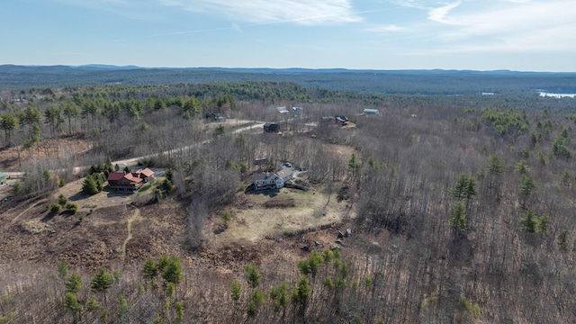 aerial view with a forest view