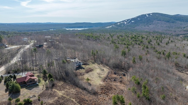 bird's eye view with a view of trees and a mountain view