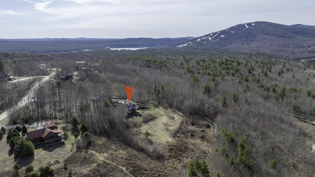 bird's eye view featuring a mountain view and a forest view