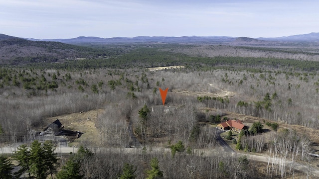 bird's eye view featuring a mountain view