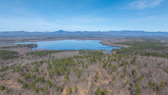 water view with a mountain view