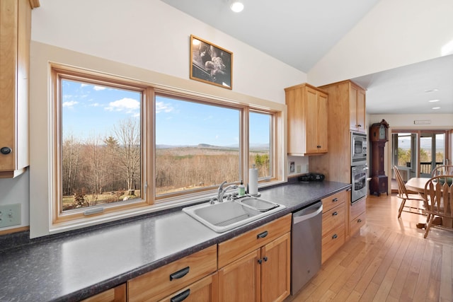kitchen featuring lofted ceiling, a healthy amount of sunlight, dark countertops, a sink, and stainless steel appliances