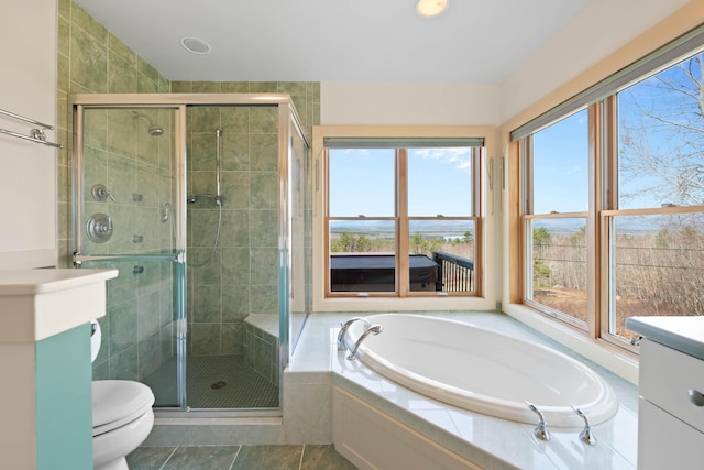 bathroom with plenty of natural light, a shower stall, toilet, and a garden tub