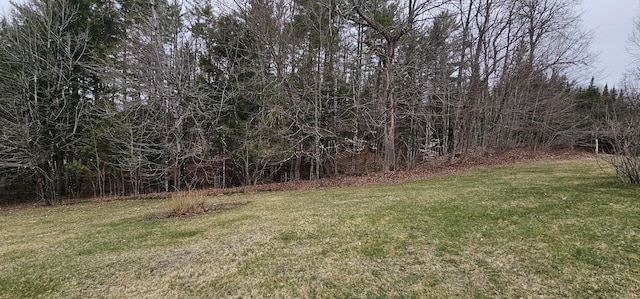 view of yard with a wooded view