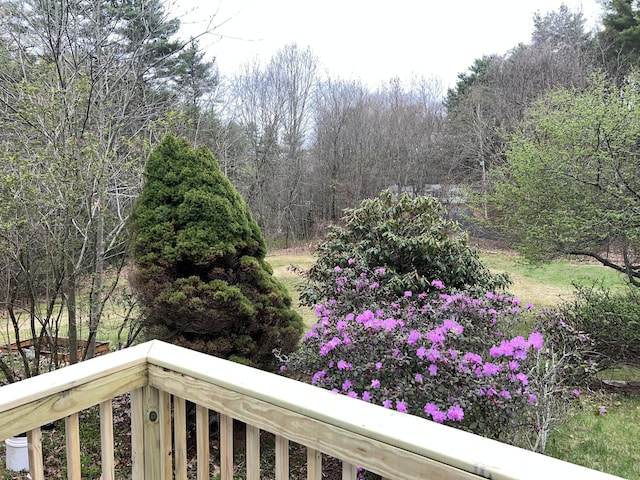 view of yard with a balcony
