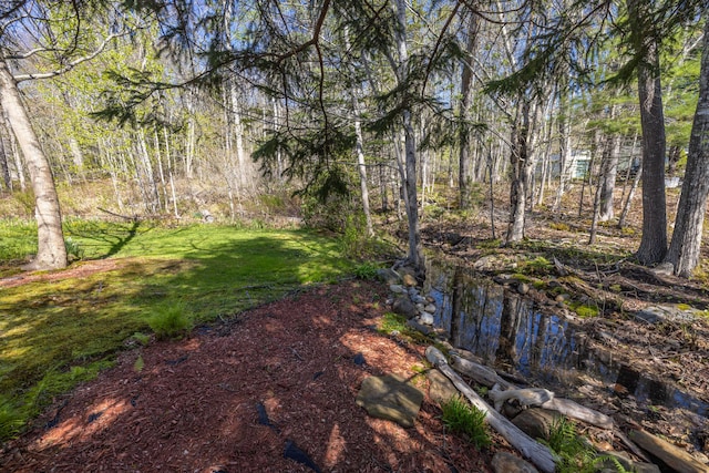 550 Belfast Rd, Camden, ME 04843 - view of green lawn