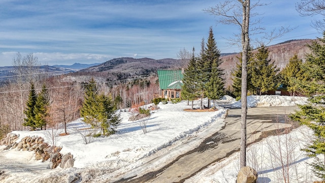 84 Ira Mountain Rd, Kingfield, ME 04947 - view of mountain background