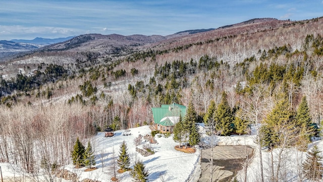 84 Ira Mountain Rd, Kingfield, ME 04947 - view of mountain background with a heavily wooded area