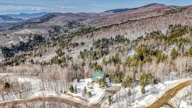 84 Ira Mountain Rd, Kingfield, ME 04947 - view of mountain background with a heavily wooded area