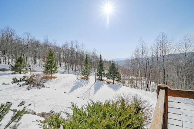 84 Ira Mountain Rd, Kingfield, ME 04947 - view of snowy yard