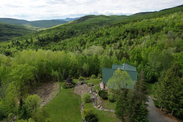 84 Ira Mountain Rd, Kingfield, ME 04947 - view of subject property with a forest and mountains