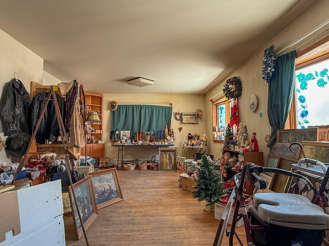 interior space with wood finished floors