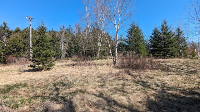 1 Deek St, Eastport ME, 04631 land for sale