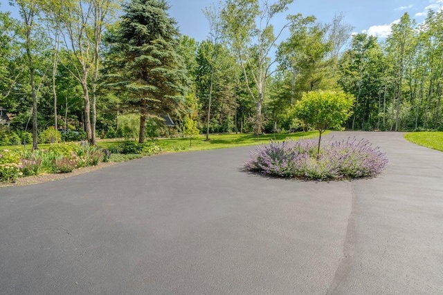 19 Glenview Ln, Belfast, ME 04915 - view of road