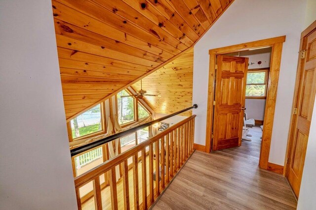 19 Glenview Ln, Belfast, ME 04915 - hallway featuring lofted ceiling, wood finished floors, and wood ceiling