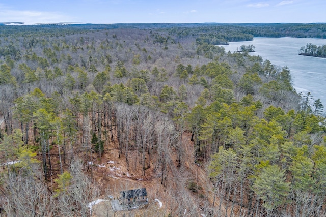 birds eye view of property with a water view and a view of trees