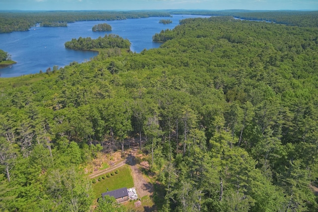 4 Boulder Cove Way, Bremen, ME 04551 - drone / aerial view of a forest and a nearby body of water