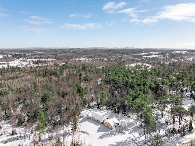 birds eye view of property featuring a mountain view and a forest view