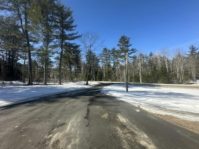 view of street with a forest view