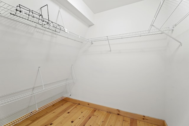walk in closet featuring hardwood / wood-style flooring
