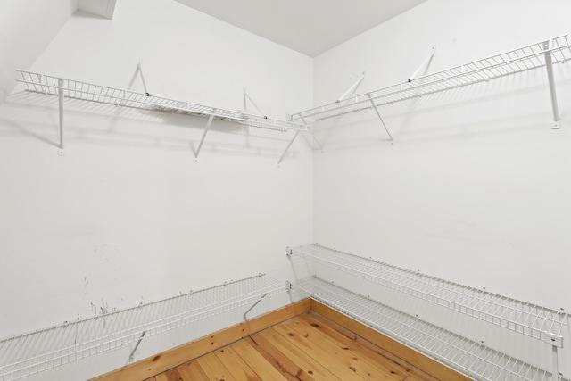 walk in closet featuring light wood-type flooring