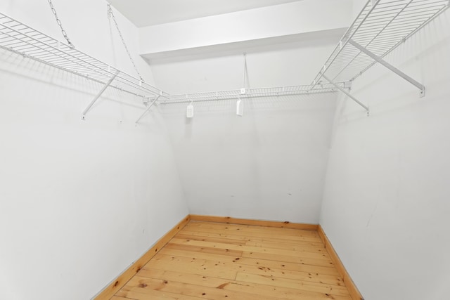 walk in closet featuring light wood-style flooring