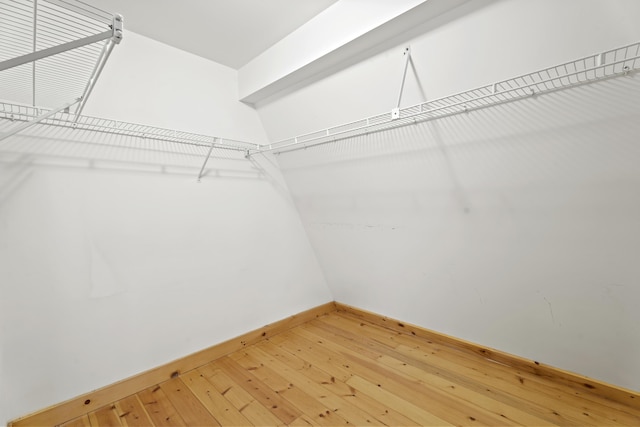 walk in closet with light wood-type flooring