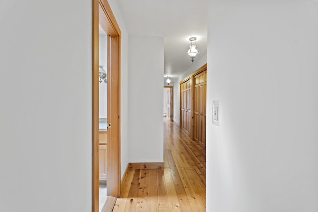 hall featuring light wood finished floors