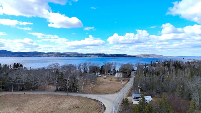 aerial view with a water and mountain view