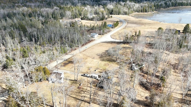 bird's eye view featuring a water view and a wooded view