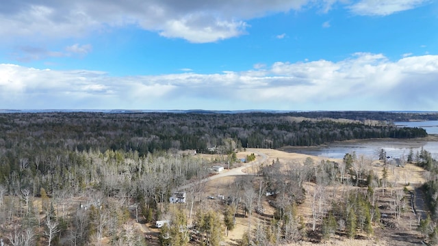 mountain view featuring a water view and a forest view