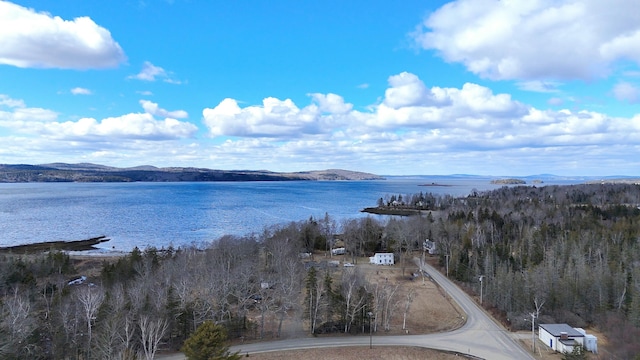 property view of water with a mountain view