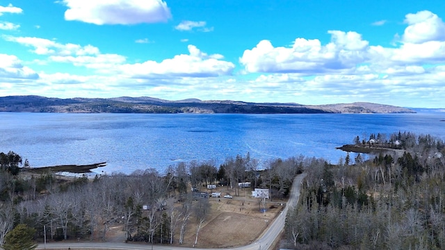 view of water feature featuring a mountain view