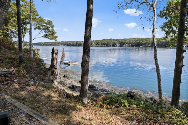 dock with a water view and a forest view