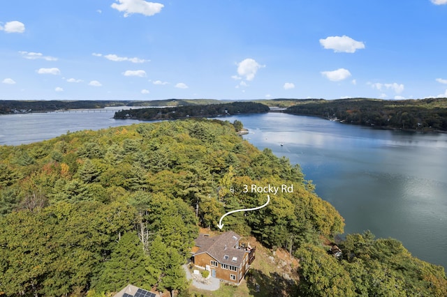 water view featuring a heavily wooded area