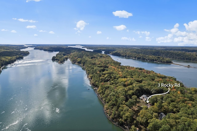 drone / aerial view of a heavily wooded area and a large body of water