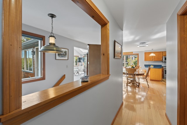 hall with healthy amount of natural light, light wood-style floors, and baseboards