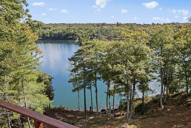 water view with a heavily wooded area