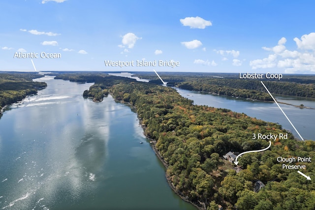 bird's eye view of a heavily wooded area and a nearby body of water