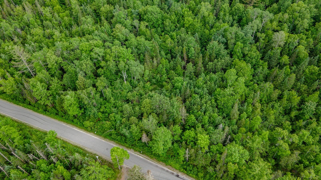 0000 Molunkus Rd, Cornville, ME 04976 - photo 1