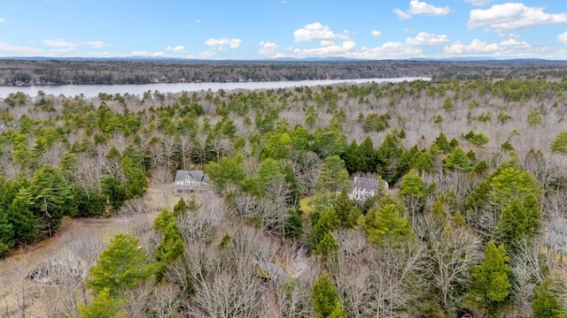 16 Rockaway Rd, Falmouth, ME 04105 - birds eye view of property featuring a water view and a view of trees