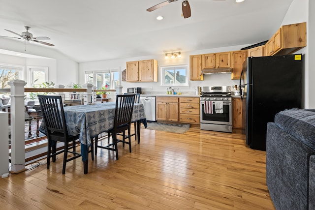 kitchen with under cabinet range hood, light wood-style flooring, appliances with stainless steel finishes, and vaulted ceiling