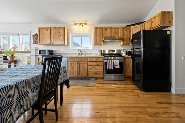 kitchen with a healthy amount of sunlight, a sink, stainless steel appliances, under cabinet range hood, and light wood-type flooring