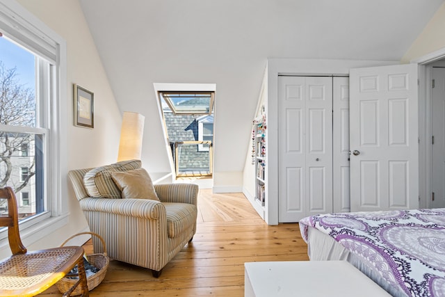 bedroom featuring light wood finished floors, multiple windows, a closet, and lofted ceiling